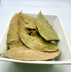 Hot Deal Feuilles de corossol séchées de bonne qualité pour la fabrication du thé Feuilles de corossol fraîchement séchées de fournisseur au Vietnam - Product Image 1