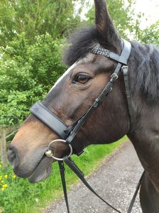 เบาะรองนอนนุ่มลายกายวิภาคหนังเย็บติดสีน้ำตาลดำสวมใส่สบายเป็นพิเศษมีเป้าหมายเพื่อความสบายสูงสุดของม้า - Product Image 6