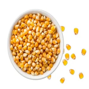 Preço de milho amarelo seco milho amarelo para consumo humano