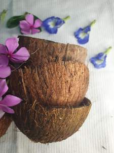 ชามกะลามะพร้าวธรรมชาติ ชามอาหารทำมือจากธรรมชาติ |   ภาชนะบนโต๊ะอาหารที่ยั่งยืนสำหรับขายส่ง - Product Image 4