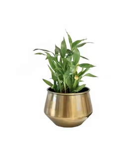 Macetas y jardineras decorativas elegantes, maceta de metal para interiores y exteriores, maceta de metal de forma redonda a precio económico - Product Image 4