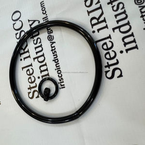 ปลอกคอไทเทเนียมสแตนเลสสตีลพร้อมโอริงแบบ Eternity Bondage สีดำสำหรับผู้ใหญ่ แฟชั่น BDSM สีตามสั่ง ขนาด 8 มม. พร้อมปลอกแขน - Product Image 1