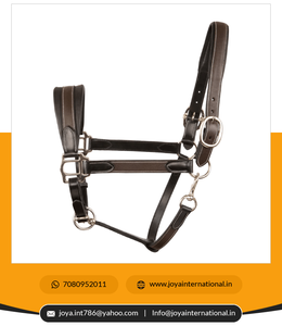 Prêt à expédier licou en cuir cuir souple rembourré Havana licou et laisse en cuir avec chaîne combinée pliante - Product Image 2