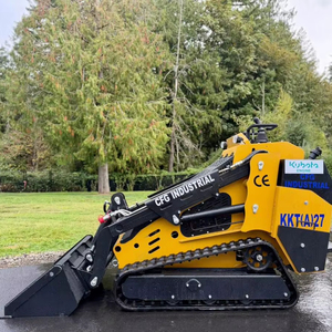 Minicargador barato CE EURO5 EPA, minicargador de orugas de rueda diésel con motor EPA, minicargador de oruga para todo terreno, envío gratuito - Product Image 1