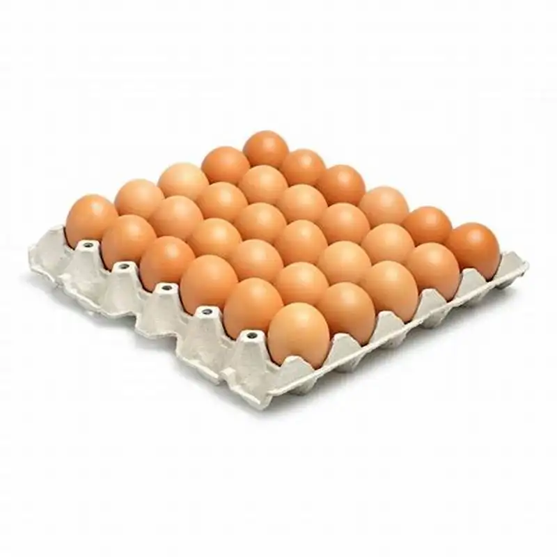 طاولة بيض الدجاج البني الطازج المخصب بجودة عالية ، طاولة الدجاج الطازجة الرخيصة ، بيض الدجاج الطازج بكميات كبيرة