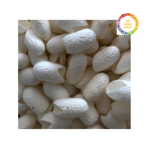 Coton Cocon de soie tendance pour les soins de la peau et l'intégration de produits de beauté - Product Image 5