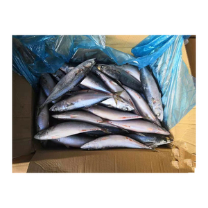 Approvisionnement en gros congelé en vrac de maquereaux du Pacifique poisson bon marché - Product Image 4
