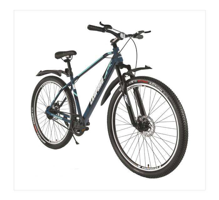 ตามที่แสดง