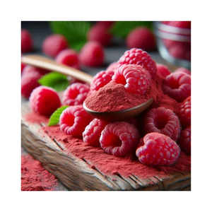 Poudre de jus de framboise séchée par pulvérisation naturelle de haute qualité, additifs alimentaires de premier choix, colorants premium, meilleure offre Herbojit International - Product Image 3