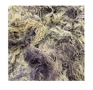 สีเขียวทะเลสาหร่ายทะเล 100% ธรรมชาติ AD เวียดนามปรุงอาหารแห้ง Eucheuma Cottonii สาหร่ายราคาแห้งสีน้ําตาลทะเลมอส 1 ซม.ทั่วไป - Product Image 2