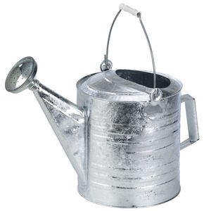 Nouvelle conception élégante conçue nordique usine vente directe galvanisé Mini arrosoir en métal pour la maison Patio hôtel jardin - Product Image 6