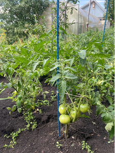 Piquets composites en fibre de verre de 1.2 m de long pour plantes 20 piquets composites pour jardin du fabricant - Product Image 6