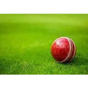 Pelotas de Cricket al Por Mayor, Precio Bajo, MOQ Bajo, Último Diseño, Pelotas de Cricket de Alta Calidad para Venta en Línea - Product Image 2