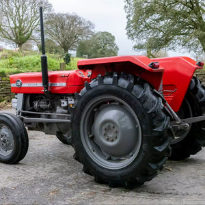 Tractor agrícola Massey Ferguson de calidad, modelo 135, en venta a un precio muy asequible. - Product Image 1