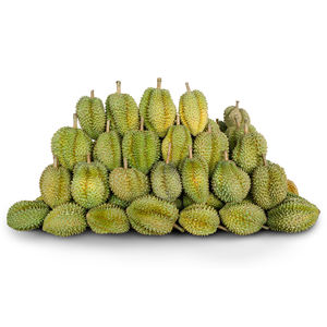 Aperitivo de fruta Durian liofilizado orgánico Ventas al por mayor más vendidas de fábrica Estilo fresco Bueno para su salud - Product Image 3