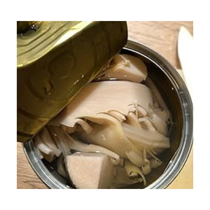 JEUNE FRUIT DE JACKFRUIT EN CONSERVE DE HAUTE QUALITÉ DISPONIBLE À UN PRIX ABORDABLE, PARFAIT POUR DIVERS BESOINS - Product Image 3