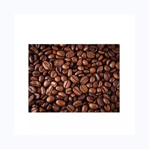 Café Arabica en Grains Verts de Haute Qualité au Meilleur Prix pour l'Importation – Grains de Café Arabica Bruts de Bonne Qualité – Achetez du Café en Gros - Product Image 2