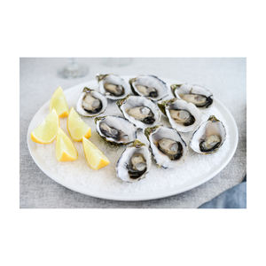 Suministro a Granel de Ostras Chilenas Secas de Primera Calidad en Envase al Vacío para Distribuidores Globales de Mariscos - Product Image 2