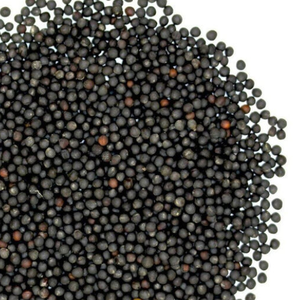 เมล็ดแฟลกซ์ & Chia เมล็ดโกโก้ออร์แกนิกสำหรับอาหารสำหรับตลาดต่างประเทศ - Product Image 3