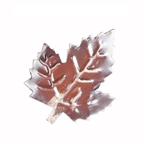 สีน้ำตาล