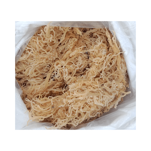 Mousse de mer dorée fabriquée au Vietnam/Mousse de mer séchée de haute qualité et au meilleur prix pour faire de la salade ou des smoothies - Product Image 4