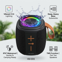 Lecteur audio sans fil mini portable avec lumière LED RVB, caisson de basses puissant, son acoustique clair TWS, pour extérieur, jardin, camping, enceinte sonore