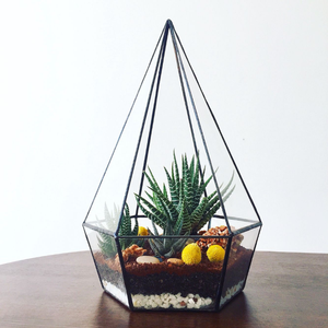 Terrariums en verre modernes exclusifs, nouvelle arrivée, très demandés, bordure en laiton, forme triangulaire, finition personnalisée faite à la main, noir - Product Image 1
