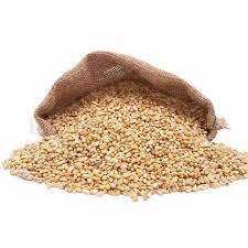 Grano de Trigo Seco de Alta Calidad |   Granos de trigo integral a granel | Grano de Trigo 100% Puro y Nutritivo, 25 kg, 50 kg en Venta - Product Image 4