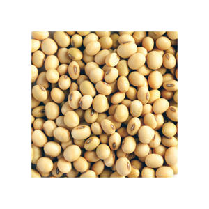 High Quality Organic Non-GMO <b>Soybeans</b> Dried in Bulk Packaging - Product Image 6