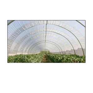 Película de invernadero de plástico flexible y resistente al desgarro de diseño único con tecnología de difusión de luz disponible a granel - Product Image 4