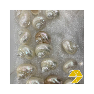 แก้วไวน์เปลือกหอยทำมือจากธรรมชาติ สวยงาม บรรจุภัณฑ์ส่งออกอย่างพิถีพิถัน มีสินค้าจำนวนมาก - Product Image 6