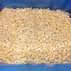 Maíz Orgánico Congelado Premium de Vietnam, Suministrado a Granel envasado al Vacío para Distribución Mayorista y Pedidos de Marca Privada - Product Image 1