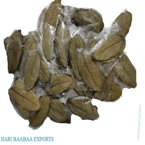 Extracto de planta de hojas de guayaba secas naturales para la salud y el bienestar - Product Image 6