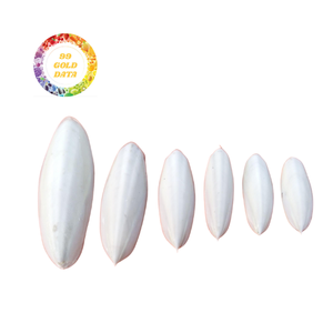 Fábrica de Vietnam de hueso de sepia de alta calidad, súper barata para loros y pollos - Product Image 1