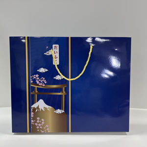 Custom Printed <b>Paper</b> Packaging Box - 400gsm Duplex Paperboard with Full Set (Bag, box, <b>tray</b>) - Product Image 2