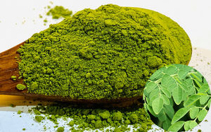 Poudre d'extrait de feuille de Moringa 100% pure, poudre fine verte, stockage à froid, durée de conservation de 12 mois, exportation du Vietnam - Product Image 2