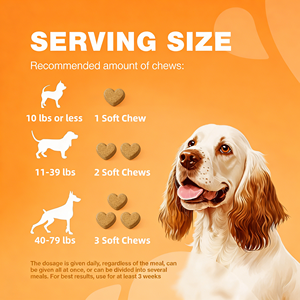 Complément alimentaire pour allergies aux chiens et aux chats OEM/ODM, comprimés à mâcher souples, soulage les allergies saisonnières, renforce l'immunité, soulagement sain des démangeaisons, apaise la peau - Product Image 3