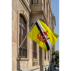 Brunei Wall-Mounted Telescopic Flagpole <b>Set</b> with Digital Printed Polyester Banners - Product Image 2