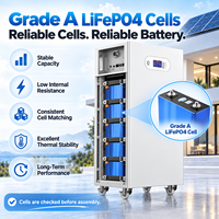 Batterie de stockage d'énergie domestique Avepower 51,2 V LiFePO4 10-16 kWh 200-314 Ah avec BMS intelligent, solaire, ESS, OEM, ODM, vente en gros
