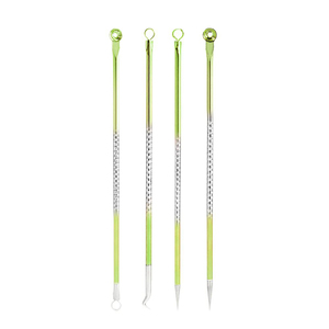 Kit d'outils de dissolvant de points noirs professionnel 4 pièces en acier inoxydable acné bouton Popper extracteur de comédon pour les soins de la peau du visage - Product Image 2