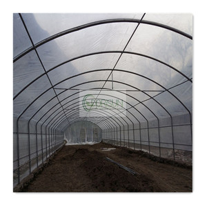 Serra a Tunnel Monocampata per Agricoltura, Tenda <span class=keywords><strong>di</strong></span> Coltivazione ad Arco, Serra Alta per la Coltivazione <span class=keywords><strong>di</strong></span> <span class=keywords><strong>Colture</strong></span> - Product Image 4