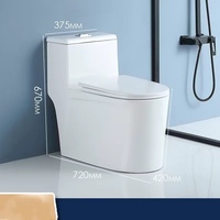 WC monobloc en céramique au design moderne, à double chasse, siphon en S 300 mm, ensemble de salle de bain, directement de l'usine chinoise