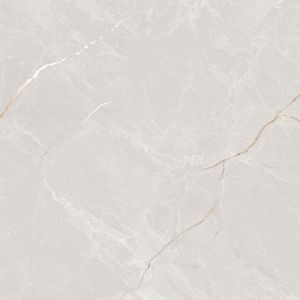 Trusted Indian tile makers supply top quality 80x80cm porcelain tiles worldwide premium marble finish porcelain wall tiles - Product Image 5