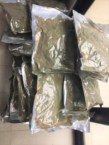 Wholesale Natural Soursop Leaves Dried Graviola Leaf <b>Tea</b> <b>For</b> Detox And Wellness Products - Product Image 6