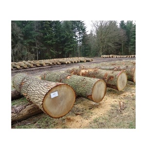 Troncos de Madera de Roble de Alta Calidad |   Troncos Redondos de Madera de Roble a Bajo Precio - Product Image 2