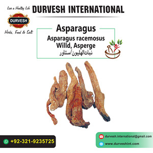Polvo de Espárragos Crudo, Natural, Grado Alimenticio, Seco, Procesado, 25 kg, Suministro a Granel, Exportación, Calidad Superior, Durvesh International, Uso Herbal - Product Image 2