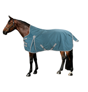 Alfombras de caballo asequibles y duraderas hechas de poliéster impermeable a medida para la comodidad del invierno y el calor duradero - Product Image 3