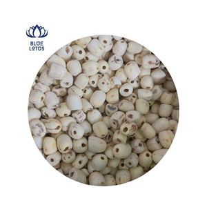 เมล็ดบัวขาว GEM ต้นกำเนิดจากเวียดนาม - Product Image 3
