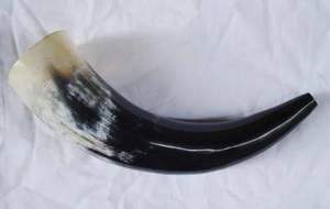 Cuerno de soplado natural de alta calidad y cuerno de soplado de Venta caliente con mayorista de precio más bajo de la mejor calidad de la India - Product Image 4