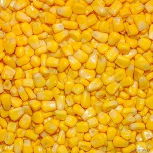 Maïs sucré en conserve en saumure de qualité d'exportation du Vietnam - Product Image 1